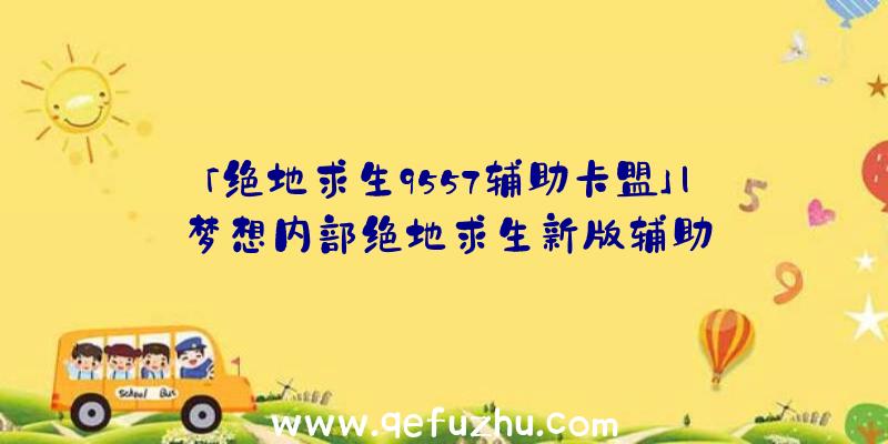 「绝地求生9557辅助卡盟」|梦想内部绝地求生新版辅助